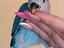 Immagine 2
