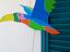 Immagine 1