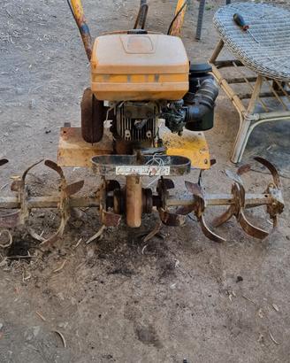 motozappa GRILLO  (APE REGINA V2)