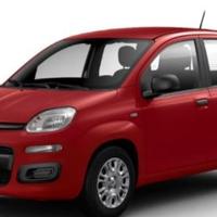 FIAT Panda 1.0 Hybrid Pop 70CV PRONTA CONSEGNA