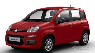 FIAT Panda 1.0 Hybrid Pop 70CV PRONTA CONSEGNA