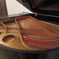 Pianoforte a coda