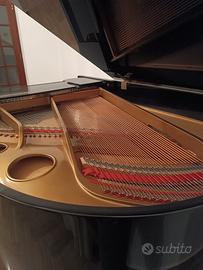 Pianoforte a coda