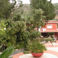 Vacanze a cetraro