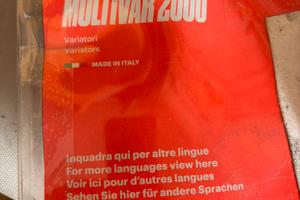 Variatore Malossi Multivar 2000
