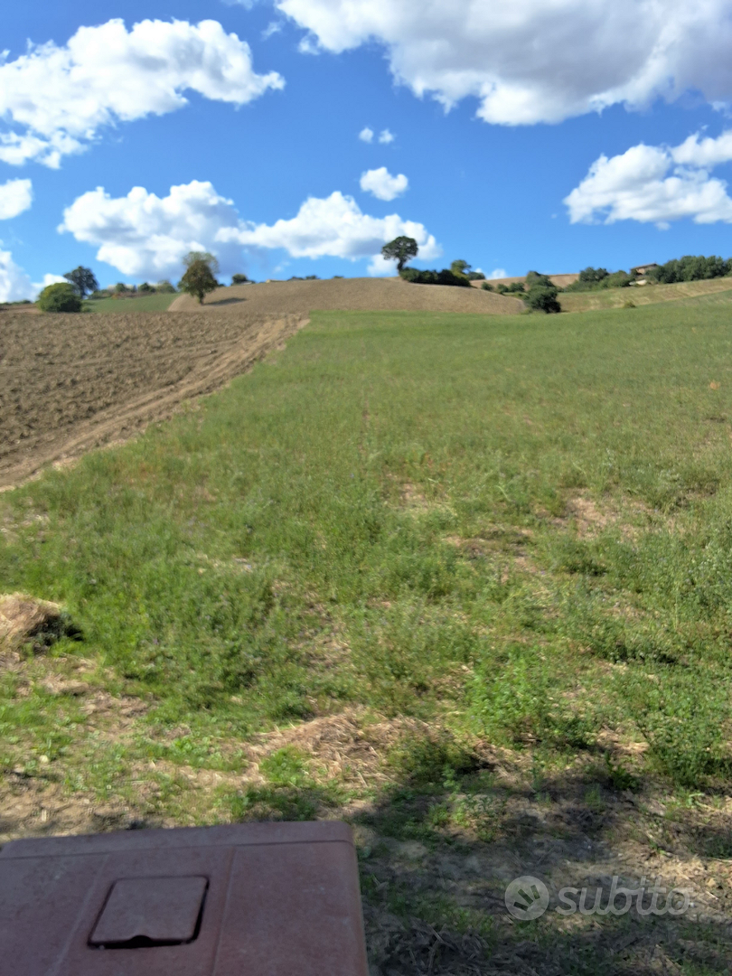 Appezzamento terreno agricolo - Vista 4