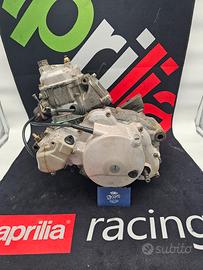 Motore Rotax 123 Aprilia Rs 125 Extrema