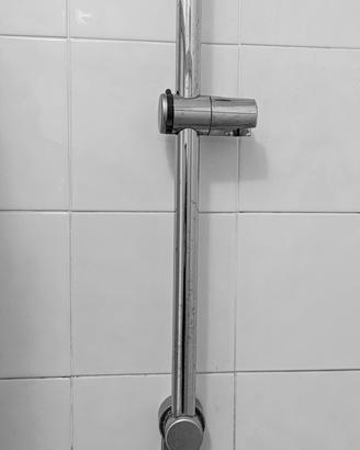 asta doccia regolabile con portasapone 