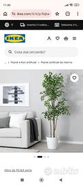 Ikea Fejka pianta artificiale altezza 150 cm