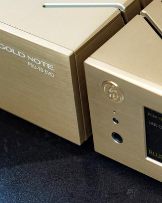 Gold Note DS10 Plus line + PSU10 Evo