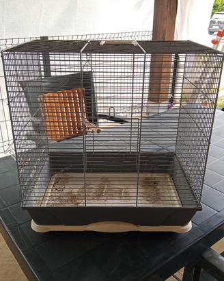 gabbia per canarini 