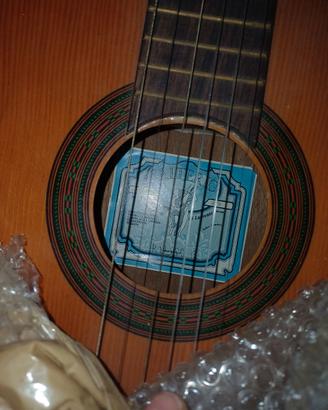 chitarra vintage Salterio