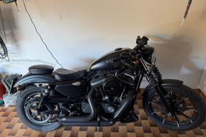 Harley Davidson XL 883N Iron