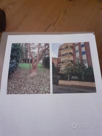 Quadrilocale, Cagliari, Genneruxi
