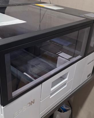 Epson supercolor v 1000 