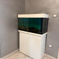 Acquario Juwel Rio 125 + mobile