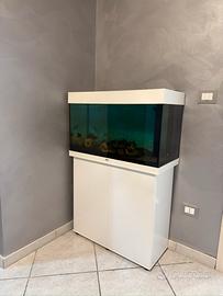Acquario Juwel Rio 125 + mobile