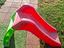 Immagine 2