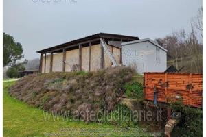 Azienda Agricola Polverigi [A4350933]