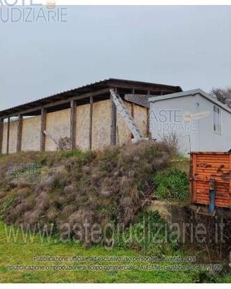 Azienda Agricola Polverigi [A4350933]