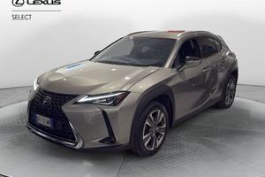 Lexus UX Full Electric Premium