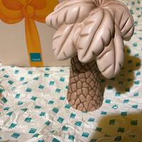 Palma Lida nuova. thun