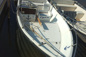 Barca open con motore selva 15 cv