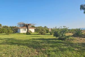 Splendida villa immersa nel verde
