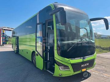 Man Lion's Coach