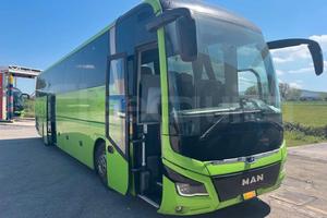 Man Lion's Coach