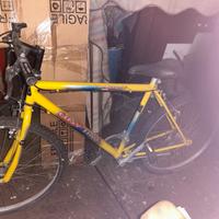 Bicicletta easy time