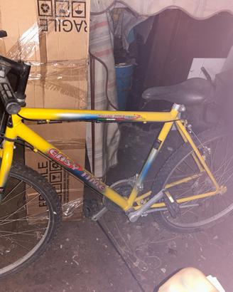 Bicicletta easy time