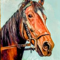 Quadro Cavallo dipinto a mano su tela firmato.