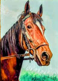 Quadro Cavallo dipinto a mano su tela firmato.