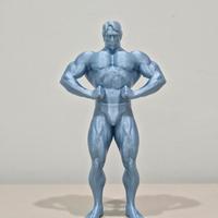 Arnold Schwarzenegger posa dorsali