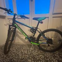Bici mountin bike ragazzo