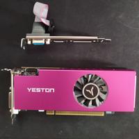 Scheda grafica AMD Radeon RX 550 4GB Low Profile