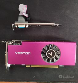 Scheda grafica AMD Radeon RX 550 4GB Low Profile