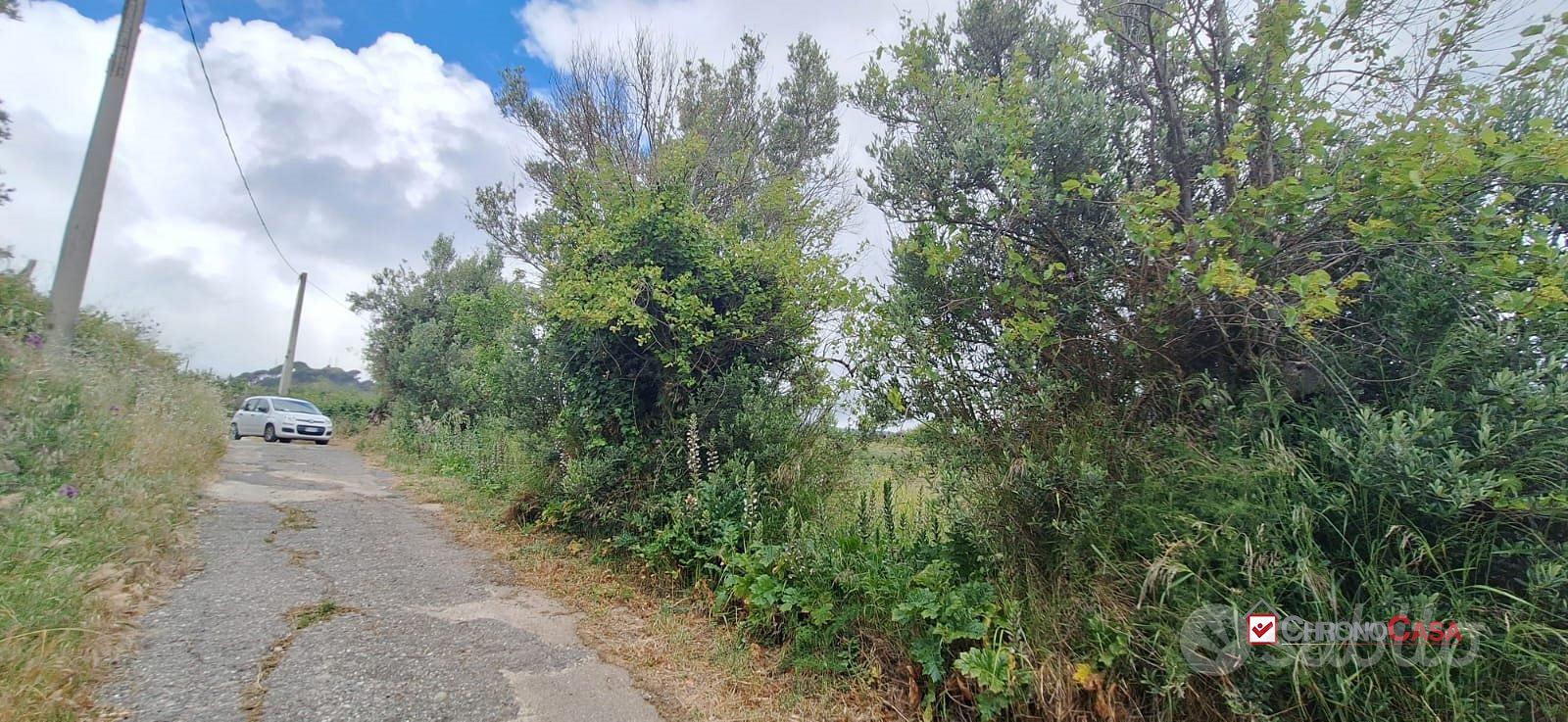 Camaro sup, panoramico terreno NON edificabile - Altro