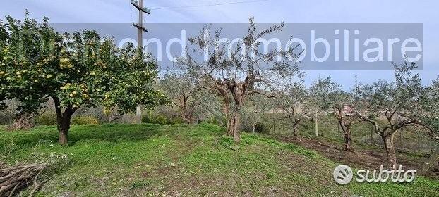 Terreno 1300 mq in parte edificabile Piedimonte - Vista 4