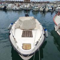 Barca a motore cantiere Raineri SHARK 17