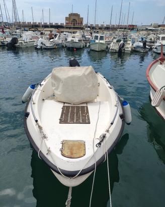 Barca a motore cantiere Raineri SHARK 17