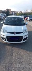 Fiat Panda Azzurri
