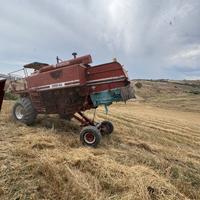 Mietitrebbia Laverda FiatAgri 3550 AL