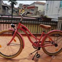 Bici Schiano ruota 26
