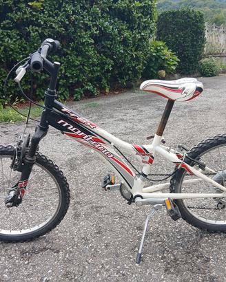 Bicicletta.