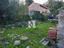 Immagine 12