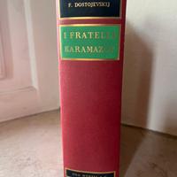 Libro “I Fratelli karamazov” di F. Dostojeskij