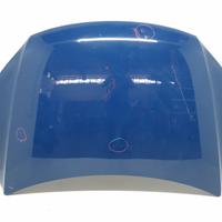 COFANO ANTERIORE VOLKSWAGEN Tiguan 1Â° Serie 5N082