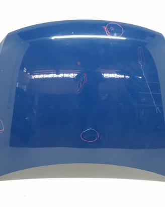 COFANO ANTERIORE VOLKSWAGEN Tiguan 1° Serie 5N082